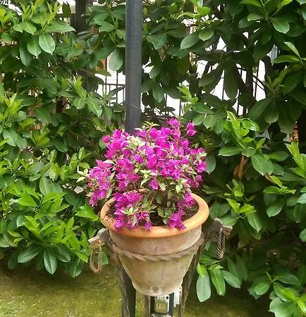 Villa Della Filanda B&B Bed & Breakfast